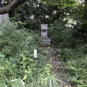 wooded area with footpath to a small stone temple