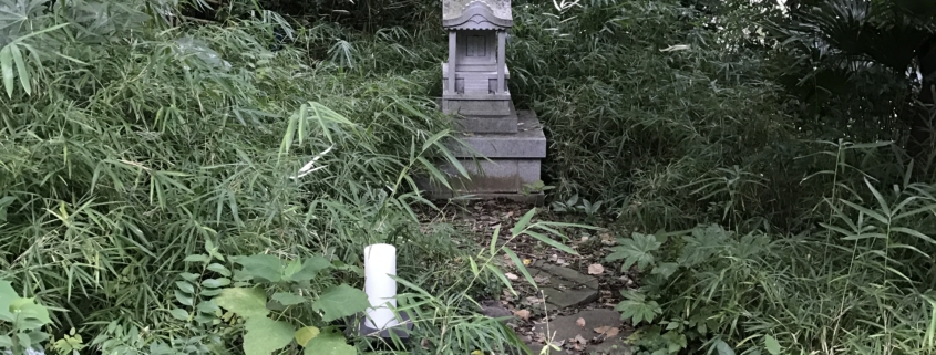 wooded area with footpath to a small stone temple